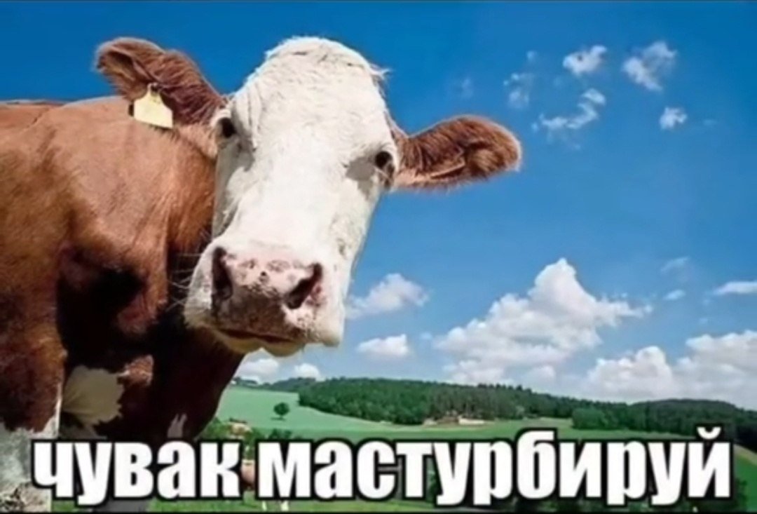 Вложение